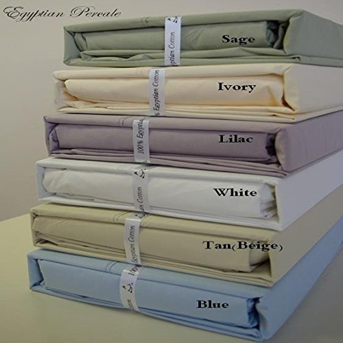 Solid White Percale Twin Extra Long Size Sheet Set 100 Cotton (Deep