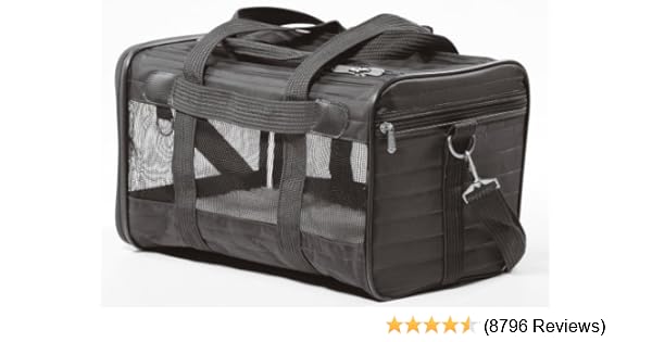 united air carry on dimensions