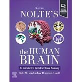 Nolte's The Human Brain: An Introduction to its Functional Anatomy