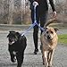 Canine Equipment Technika Beyond Control 1-Inch Dog Leash, Black