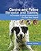 Canine and Feline Behavior and Training: A Complete Guide to Understanding our Two Best Friends (Veterinary Technology) by 