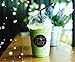 Organic Floral Matcha Packets (Floral Matcha)