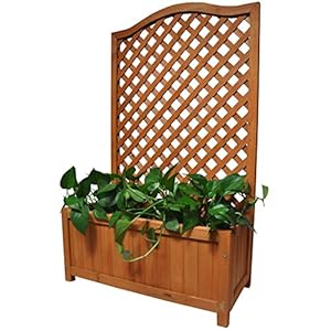 rectangular wooden planter with lattice for vines garden