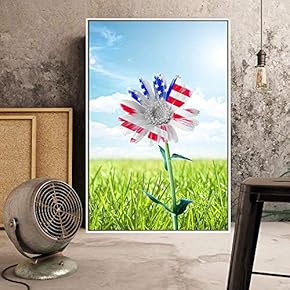 Floating Framed Canvas Wall Art for Living Room, Bedroom American Flower Canvas Prints for Home Decoration Ready to Hang - 16x24 inches