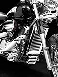 Highway Hawk 713-6321 Radiator Cover Suzuki Boulevard