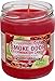Smoke Odor Exterminator Candle Cinnamon Apple 13oz