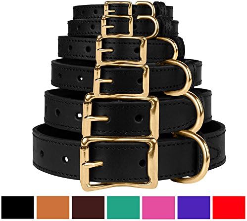 BRONZEDOG Leather Dog Collar with Metal Buckle Durable Basic Pet Collars for Small Medium Large Dogs (11-13 Inch (Pack of 1), Black & Gold Buckle)