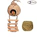 Tfwadmx Coconut Hide with Ladder, Natural Coconut Fiber Hanging Birdhouse Cage, Coconut Bird Shell Breeding Nest for Parrot Parakeet Lovebird Finch Canary (2 Pcs)