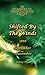 Shifted By The Winds (# 8 in the Bregdan Chronicles Historical Fiction Romance Series) by 