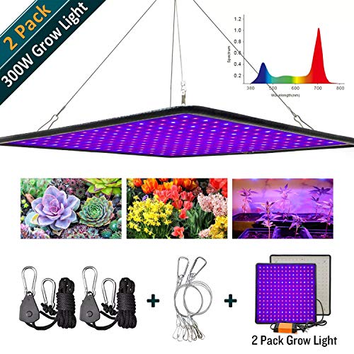 Greensindoor 300W LED Grow Light 2 Pack,Grow Lights for Indoor Plants Upgrade Full Spectrum for Veg and Flower (300W 2PACK)
