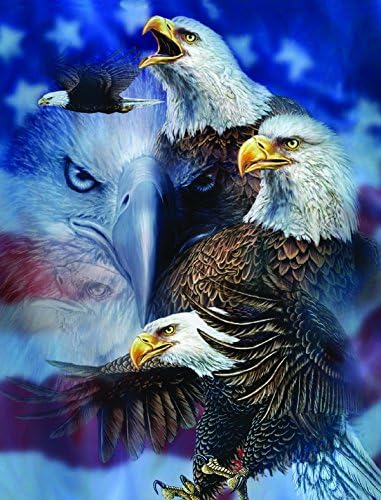 Eagles Foil Framed Print - 8 x 10 Inches Custom Imprinting With Silver Foil Ink Framed Art - Beautifully Hand-engraved and Embossed Foil Prints - Great For Any Room Of Your Home