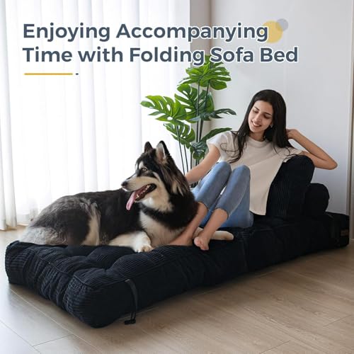 CTOBY Folding Sofa Bed, Convertible Sleeper Chair with Pillow Foldable Mattress with Back Support, Portable Fold Out Chair Bed Comfy Floor Sofa Lounge for Living Room Bedroom, Black, Single