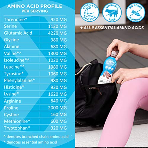 Iconic Protein Drinks, Chocolate Truffle (4 Pack) Creamy, Low Calorie