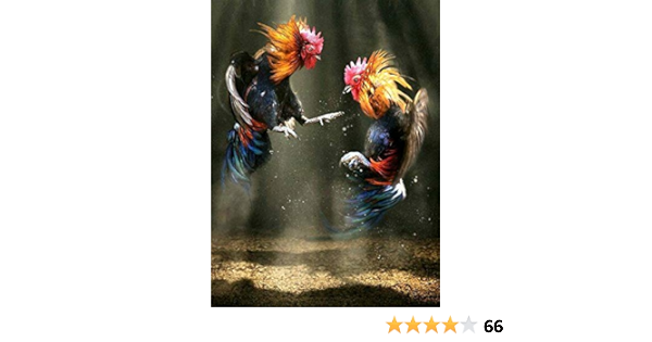 Amazon Com Zmkdll Two Roosters Fighting Chicken Tin Sign Art Metal Wall Plaque Chicken Coop Decor Outdoor Indoor Wall Panel Retro Vintage Mural Size x30 Cm Poster Home Kitchen