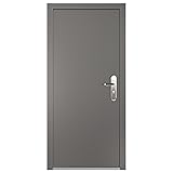 VIZ-PRO Quick Mount Steel Security Door with Frame