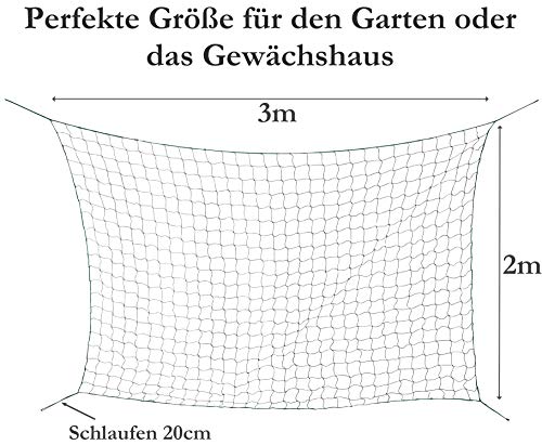 Ranknetz für Gurken Kletterhilfe - 3 x 2m stabile Form Rankhilfe Kletterpflanzen Gurkenrankhilfe Gurkenranknetz – Bild 4