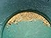 mikesgoldPaydirt 1 lb. Gold Panning Paydirt California Motherlode Black Sands,Flour Gold,Fines,Pickers