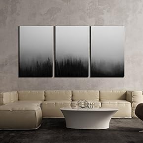 Black Pine Tree Forest Among The Fog Mistery...