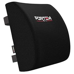 Amazon.com: Lumbar Support for Office Chair  Back Pillow ...