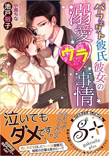 パーフェクト彼氏彼女の溺愛ウラ事情 ガブリエラ文庫プラス Amazon Co Uk Books