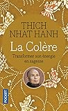 La colère : Transformer son énergie en sagesse by 