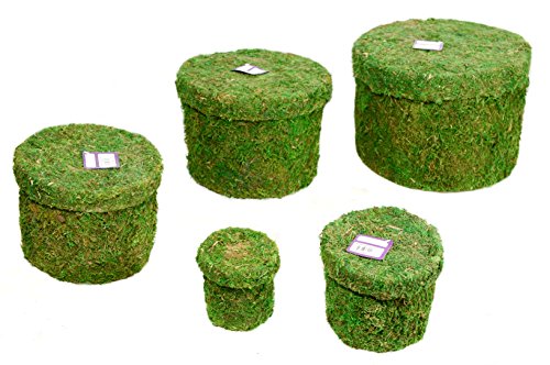 SuperMoss (55563) Hat Box - Round, Fresh Green, Set of 5 (Nested)