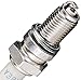 NGK (DR8EA BLYB) Traditional Spark Plug