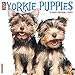 Just Yorkie Puppies 2020 Wall Calendar (Dog Breed Calendar) by 