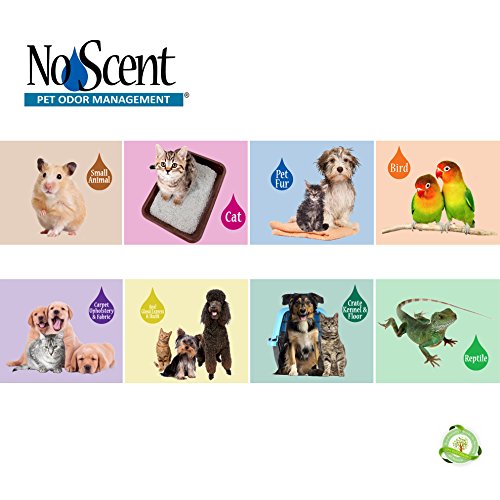 No Scent Anal Gland Express & Skunk Professional Pet Grooming and Skunk Odor Eliminator