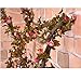 Artificial Rose Garland Silk Flower Vine for Valentine Home Wedding Garden Decoration