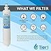 Tier1 RPWF Refrigerator Water Filter 4-pk | Replacement for GE RPWF (NOT RPWFE), WSG-4, MPF15350, DWF-36, R-3600, OPFG3-RF300, RWF3600A, WD-RPWF, WF277, Fridge Filter