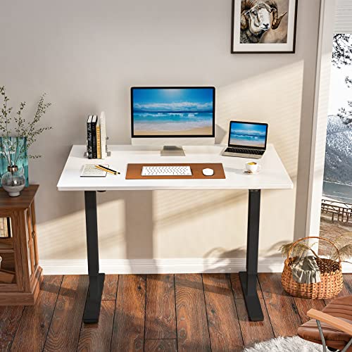 FLEXISPOT EC1 Essential Electric Height Adjustable Standing Desk Heavy