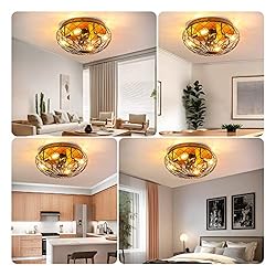 REDSTAR Modern Low Profile Cage Ceiling Fan with