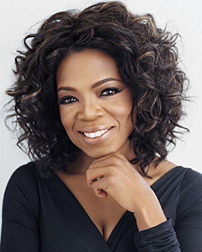 African Wigs Black Women Wigs Oprah Hair Style Halloween Wigs Short Synthtic High Quality Wigs Curly Wigs 3820b with Free Net Cap