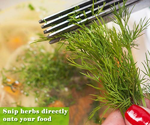 5 Scissors+Stainless+Cleaning+Multipurpose+Dishwasher