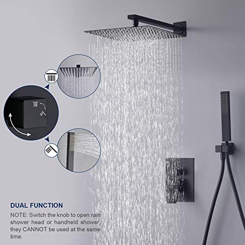 Tenfe Rain Shower System, Matte Black Shower Fixtures with 10 Inchs