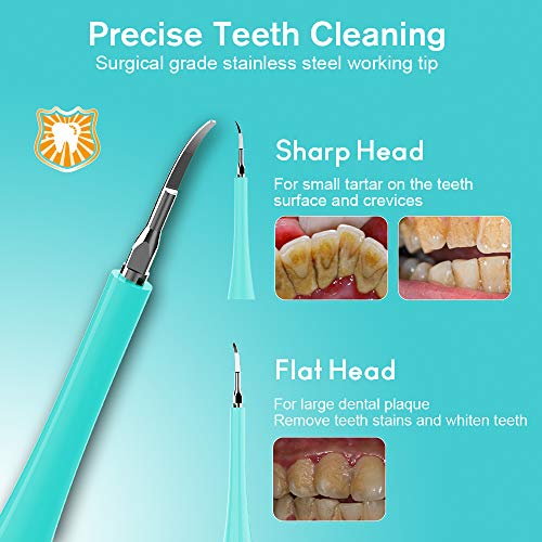 Household Electric Dental Calculus Remover, iFanze Plaque Remover for