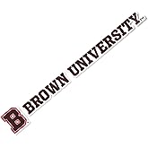 Desert Cactus Brown University Bears Name Logo Vinyl Decal Laptop Water Bottle Car Scrapbook (8 Inch Sticker)