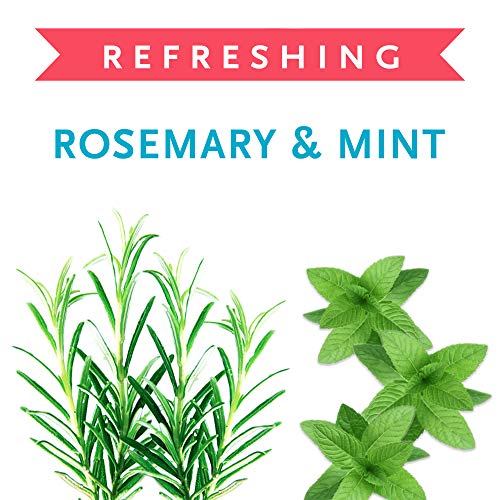 Buddy Wash Dog Shampoo & Conditioner for Dogs with Botanical Extracts