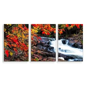 Waterfall in Deep Forest of Croatia Painting Artwork...