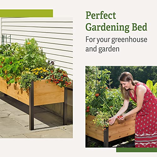 Gardener's Supply Company Raised Garden Bed Elevated Cedar Planter Box