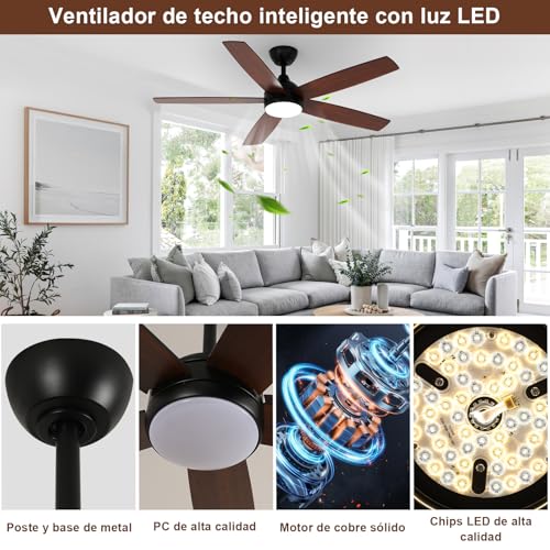 Dorlink Ceiling Fan Lamp with Control, Ø132 cm, 6 Speeds, Timer, 34 W DC Motor, Summer-Winter Function, Quiet, Fan Lamp for Indoor Bedroom, Walnut/Black