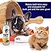 Mountainview Pet Products Oatmeal Shampoo for All Pets, Makes Pet Odor Free; No Chemicals; All Natural Ingredients; Also for Sensitive Skin, Size: 17 oz (500 ml)