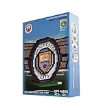 BRXLZ Manchester City FC Team Logo