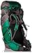 Osprey Packs Women's Viva 65 Backpack, Sea Green