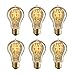 MADKING Edison Bulb, 25W A19 Filament Bulb with Medium Base (E26) Nostalgia Edison Style, Antique Light Bulbs (6 Pack)