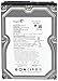 Seagate 250GB 7200RPM Sata-enterprise ST3250310NS