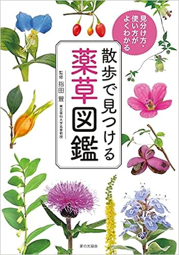 薬草