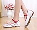 AvaCostume Embroidery Womens Classics Flats Rubber Sole Casual Shoes, White2 37