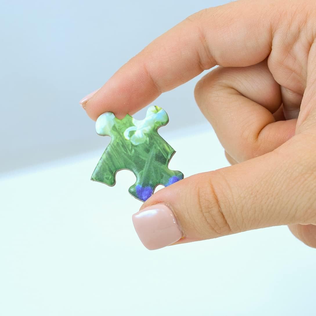 MasterPieces Drive-Ins, Diners and Dives Puzzles Collection - Rock & Rolla Diner 550 Piece Jigsaw Puzzle: Toys & Games